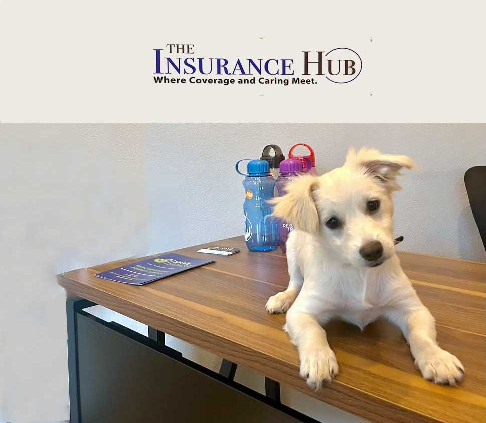 olaf at-insurance-hub